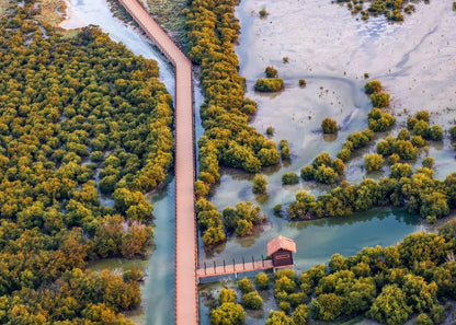 Doha: North of Qatar Tour to Al Zubara Fort, Al Khor, and Al Jumail Village