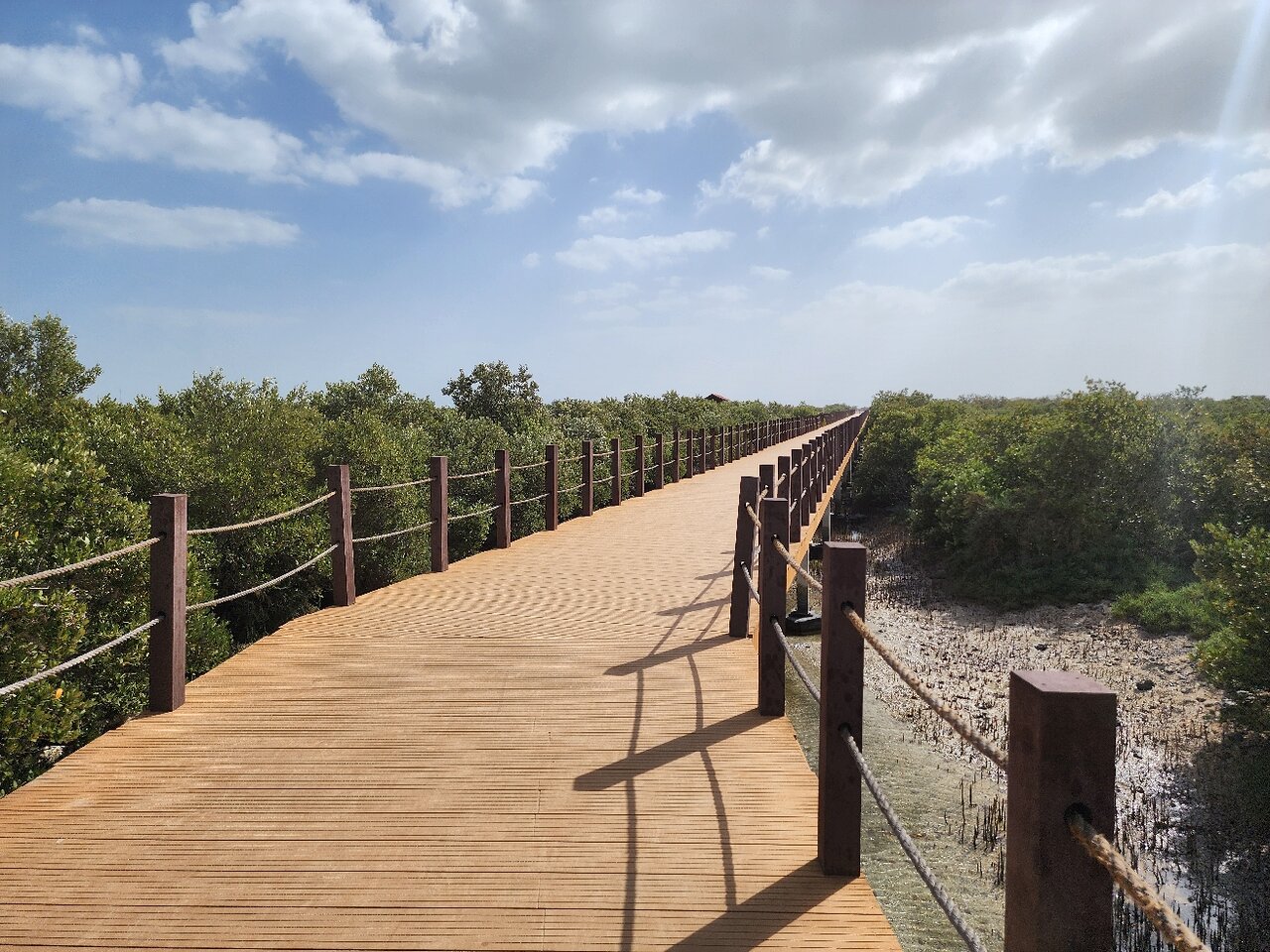 Doha: North of Qatar Tour to Al Zubara Fort, Al Khor, and Al Jumail Village