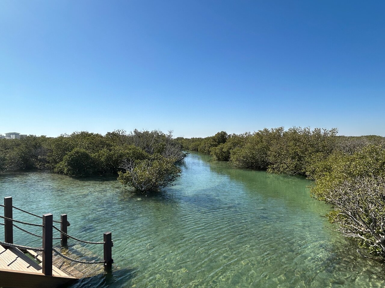 Doha: North of Qatar Tour to Al Zubara Fort, Al Khor, and Al Jumail Village