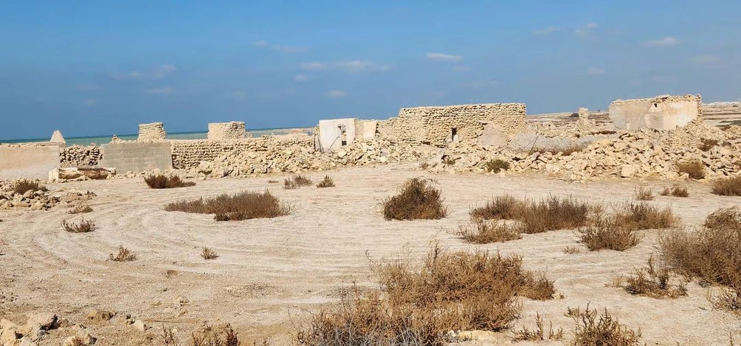 Doha: North Qatar, Purple Island and Mangroves Private Tour with Transfers