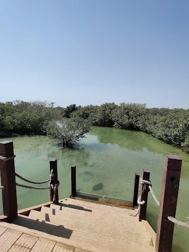 Doha: North Qatar, Purple Island and Mangroves Private Tour with Transfers
