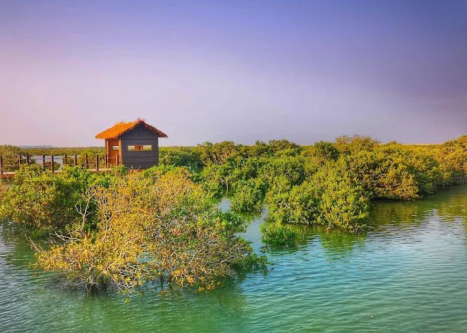 Doha: North Qatar, Purple Island and Mangroves Private Tour with Transfers