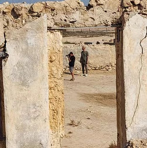 Doha: North Qatar, Purple Island and Mangroves Private Tour with Transfers