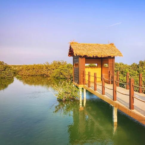 Doha: North Qatar, Purple Island and Mangroves Private Tour with Transfers