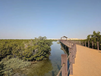 Doha: North Qatar, Purple Island and Mangroves Private Tour with Transfers