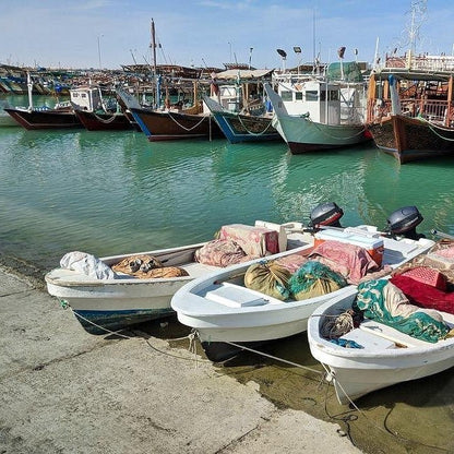 Doha: North Qatar Tour to Zubara Fort, Jumail Village and Purple Island