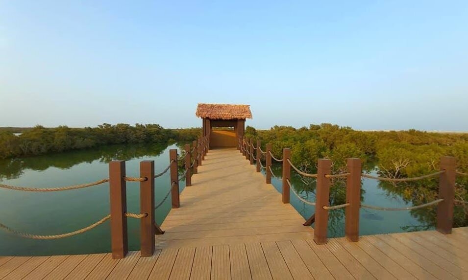 Doha: North Qatar Tour to Zubara Fort, Jumail Village and Purple Island