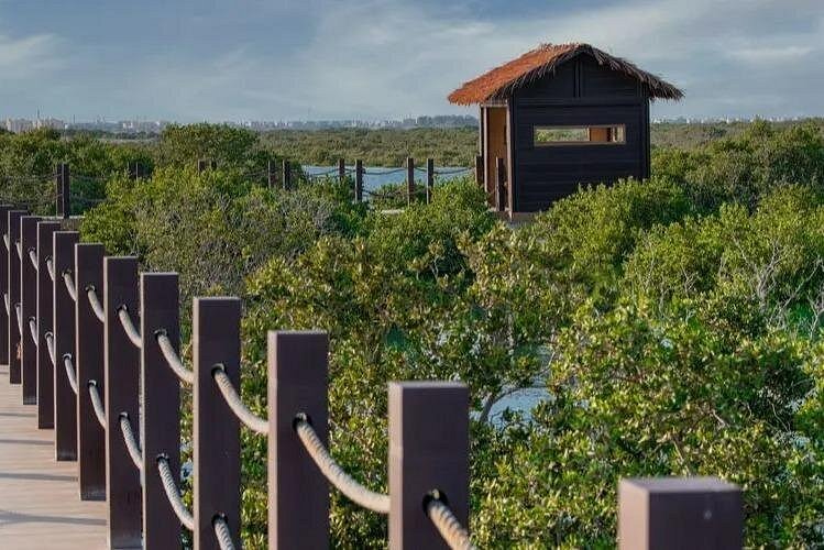 Doha: North Qatar Tour to Zubara Fort, Jumail Village and Purple Island