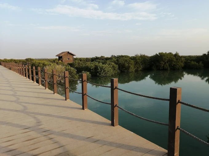 Doha: North Qatar Tour to Zubara Fort, Jumail Village and Purple Island