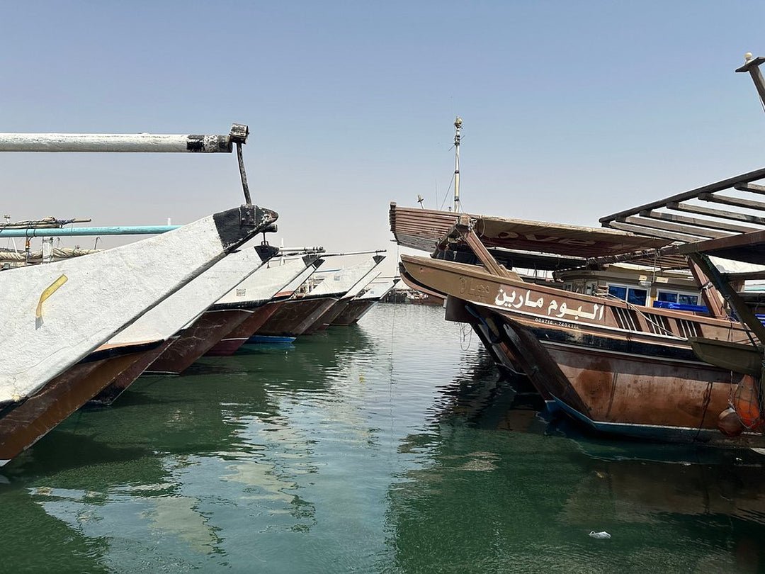 Doha: North Qatar Tour with Mangroves, Purple Island and Al Zubara Fort