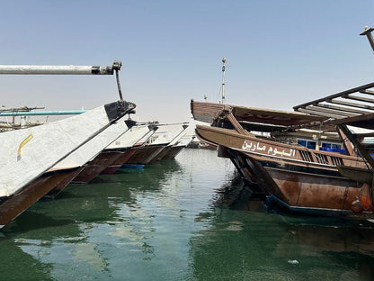 Doha: North Qatar Tour with Mangroves, Purple Island and Al Zubara Fort