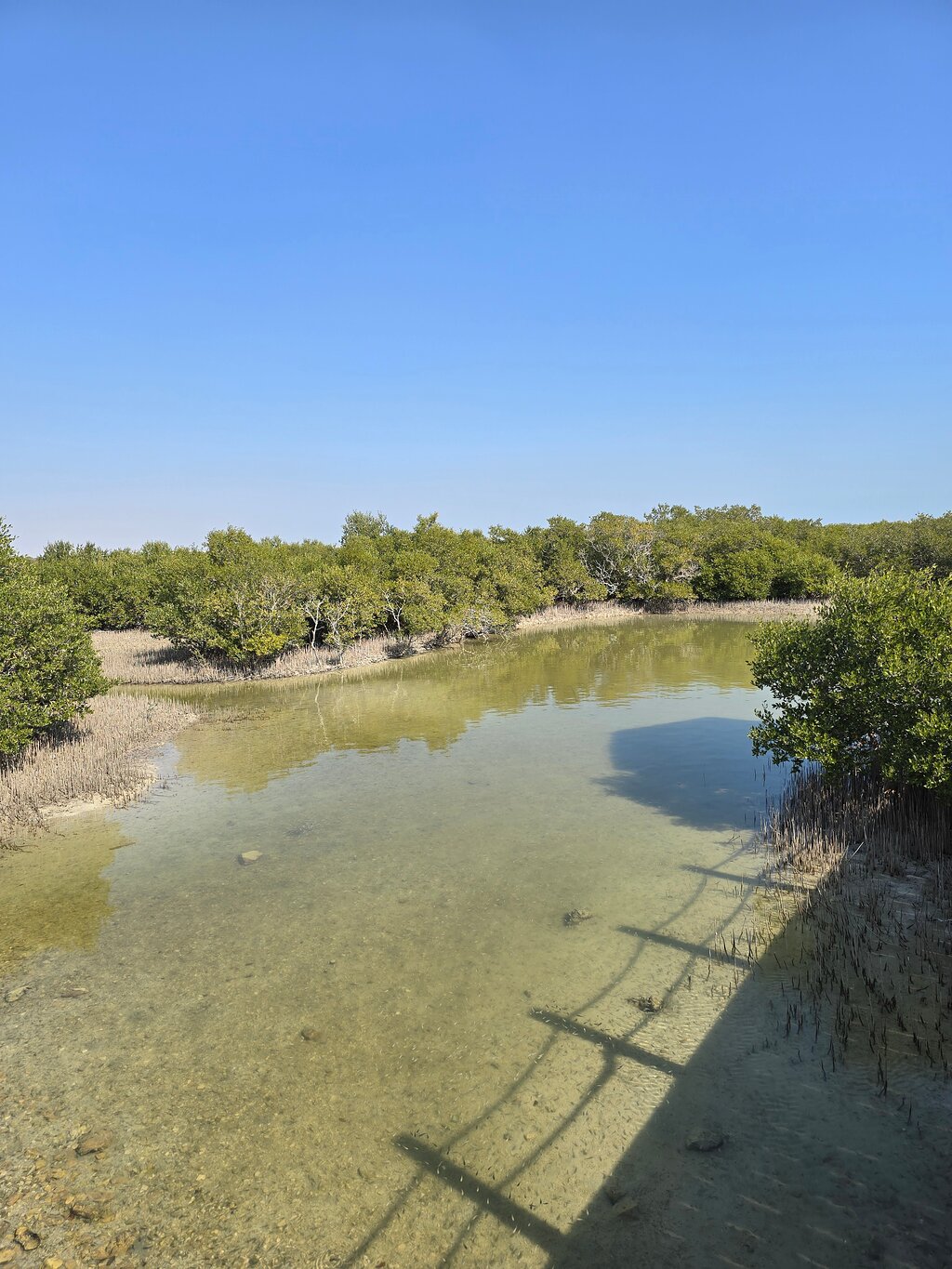 Doha: Northern Qatar, Zubara Fort, Purple Island & Mangroves Private Tour