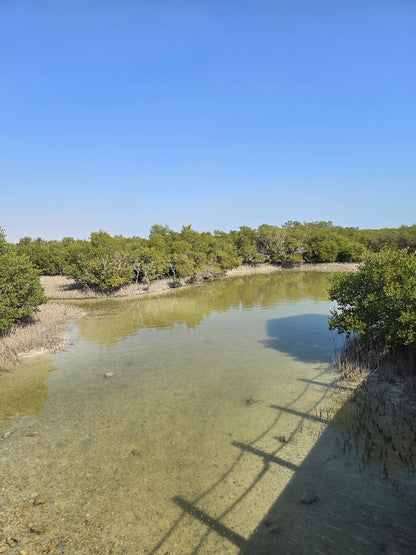 Doha: Northern Qatar, Zubara Fort, Purple Island & Mangroves Private Tour