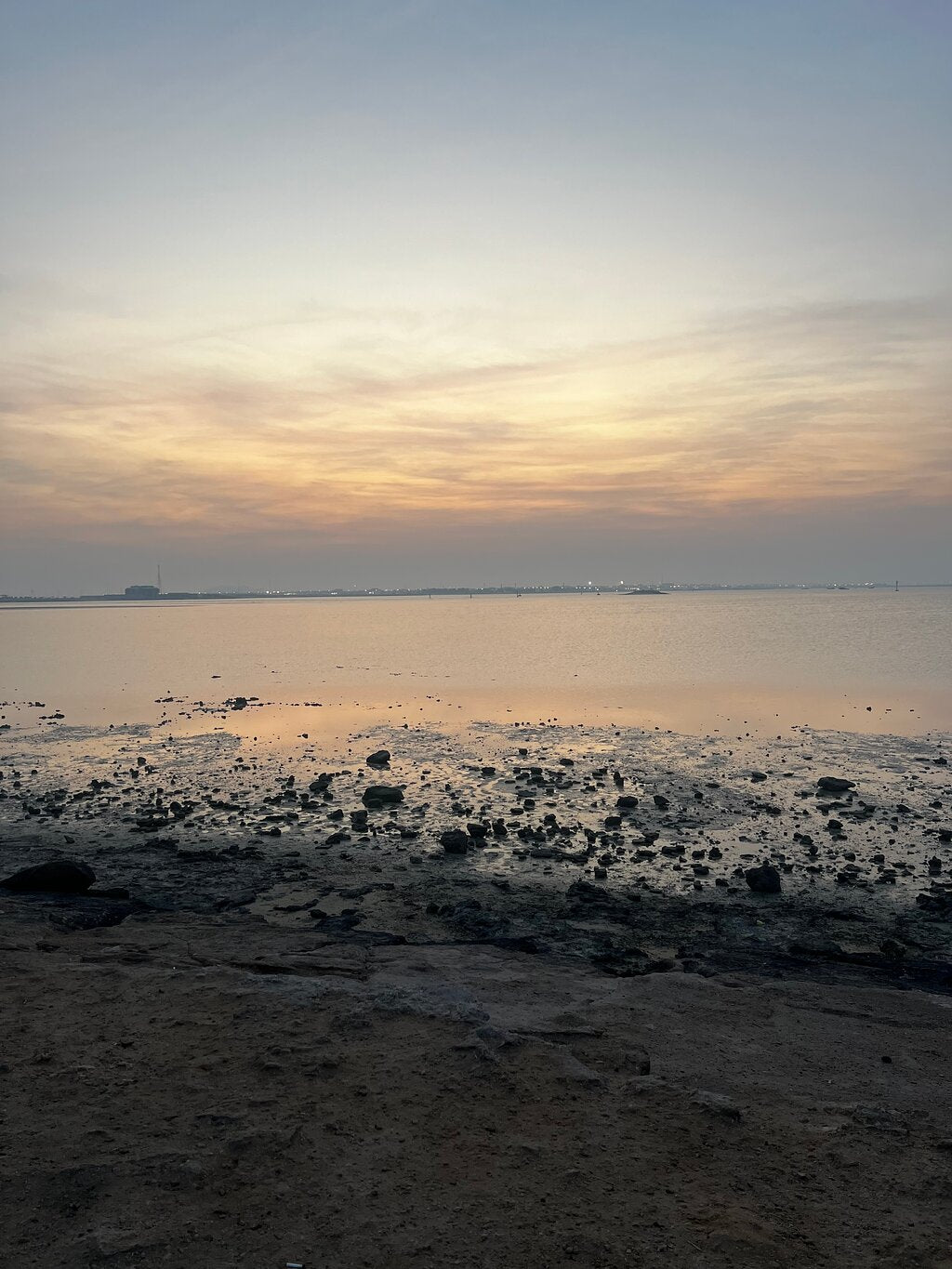 Doha: Northern Qatar, Zubara Fort, Purple Island & Mangroves Private Tour