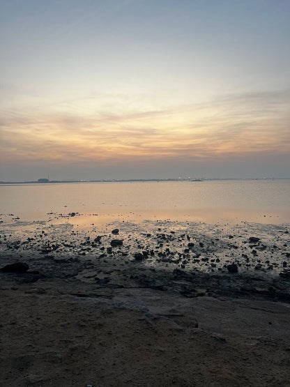 Doha: Northern Qatar, Zubara Fort, Purple Island & Mangroves Private Tour