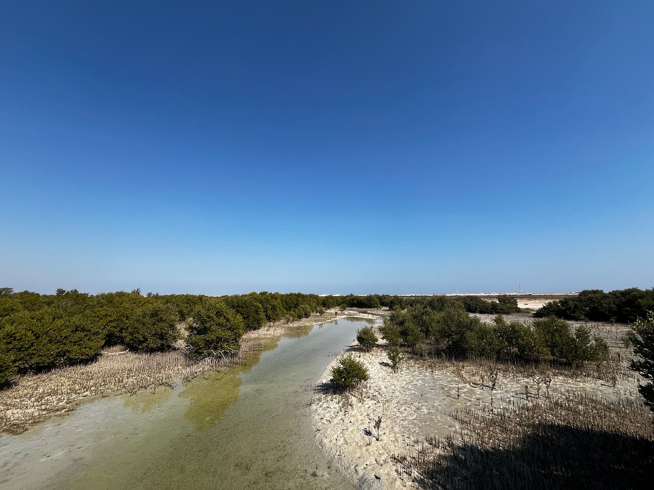Doha: Northern Qatar, Zubara Fort, Purple Island & Mangroves Private Tour