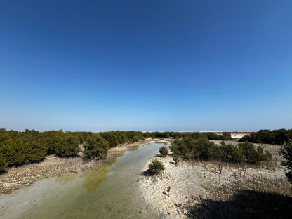 Doha: Northern Qatar, Zubara Fort, Purple Island & Mangroves Private Tour