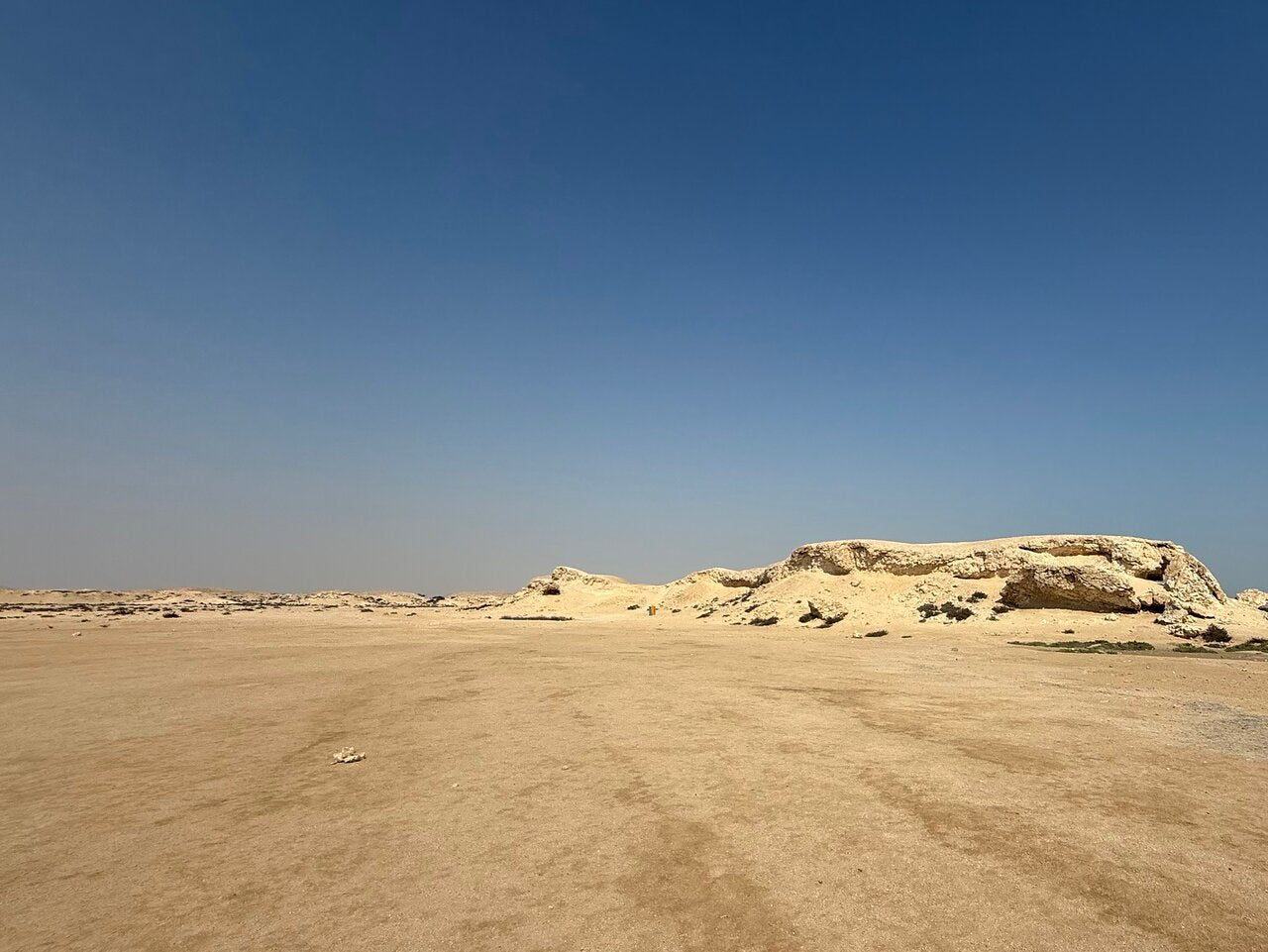 Doha: Northern Qatar, Zubara Fort, Purple Island & Mangroves Private Tour