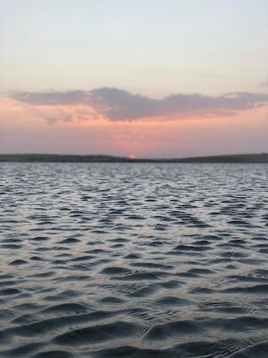 Doha: Overnight Desert Safari with BBQ Dinner and Camp Stay