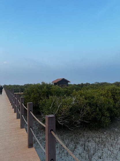 Doha: Premium North of Qatar Cultural and Heritage Tour