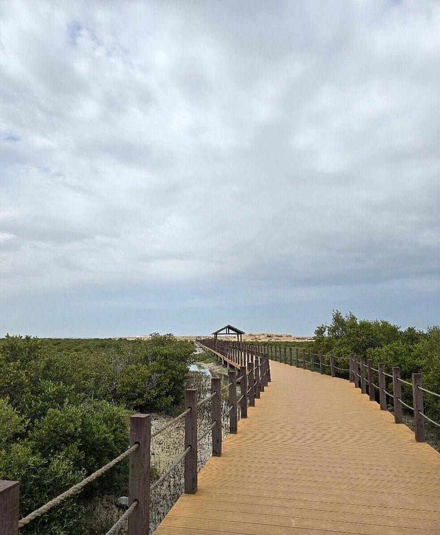 Doha: Premium North of Qatar Cultural and Heritage Tour