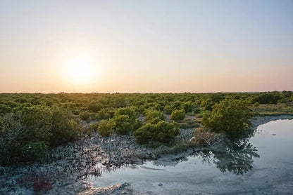 Doha: Premium North of Qatar Cultural and Heritage Tour