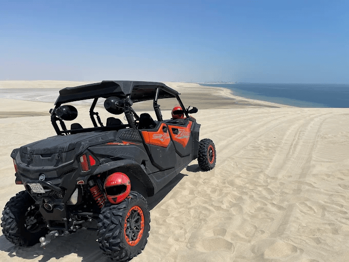 Doha: Private Buggy Ride, Camel Ride, and Desert Safari Tour