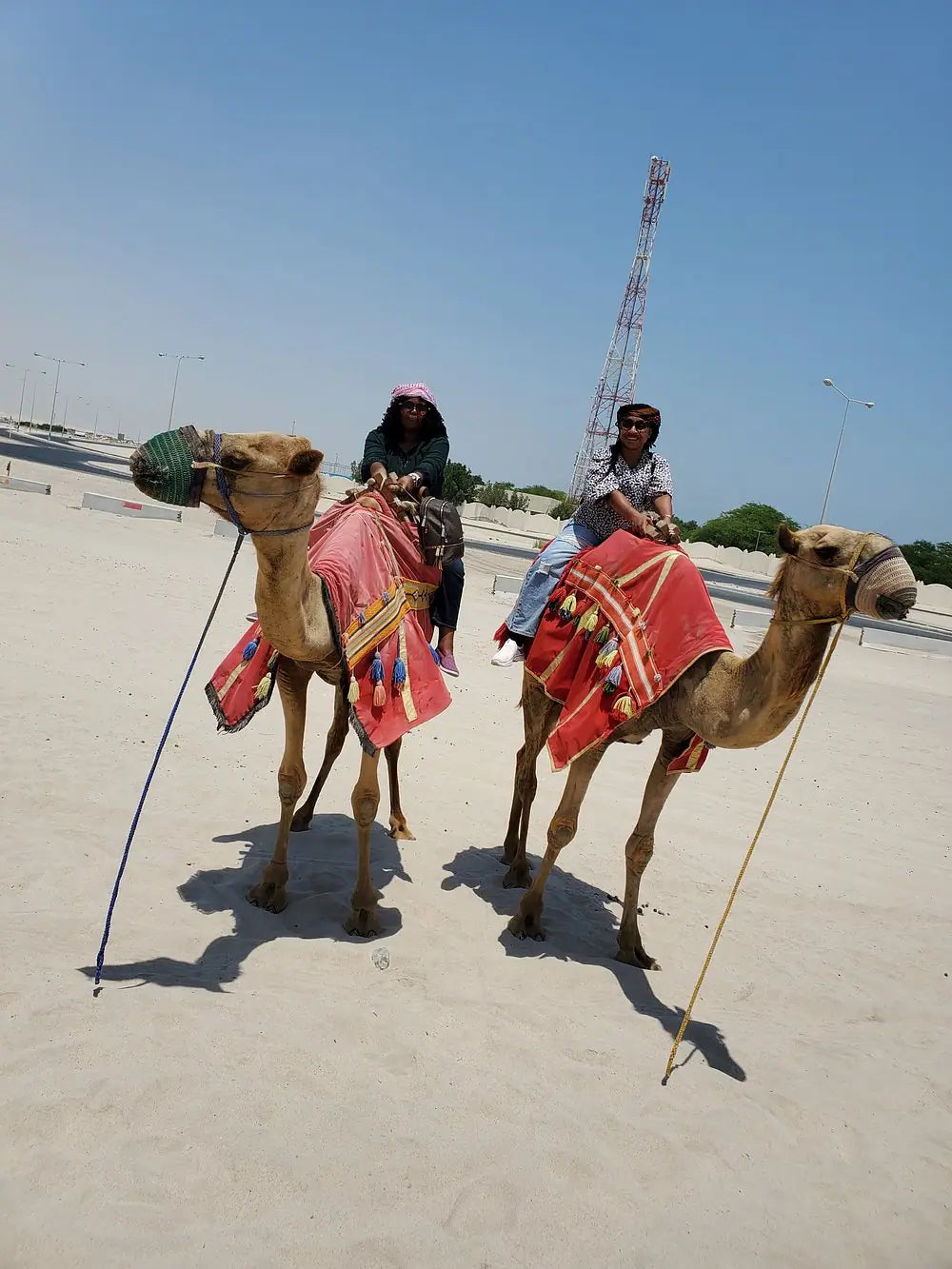 Doha: Private City Tour with Desert Safari Combo