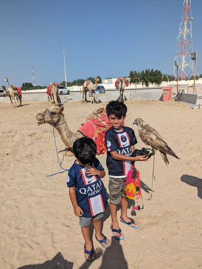 Doha: Private City Tour with Desert Safari Combo