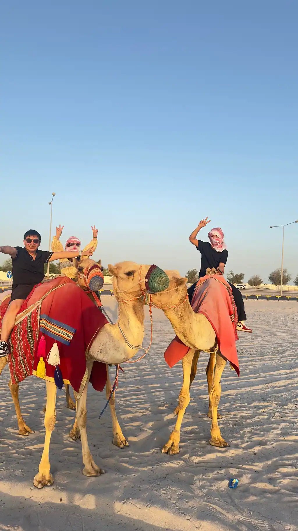 Doha: Private Desert Safari and Dune Bashing