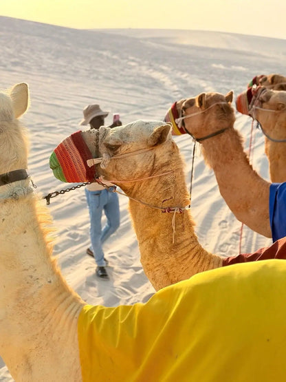 Doha: Private Desert Safari and Dune Bashing