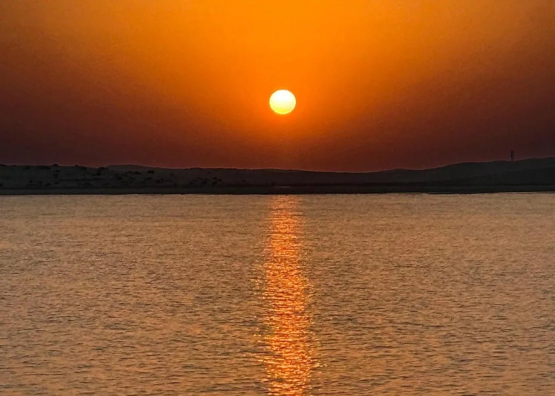 Doha: Private Desert Safari and Dune Bashing