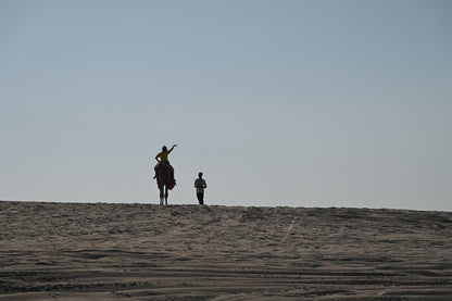 Doha: Private Full - Day Desert Safari, Sandboarding and Buffet Dinner