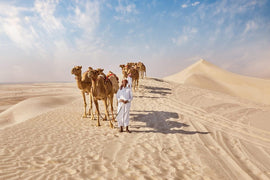 Doha: Private Guided Day tour of Northern and Western Qatar