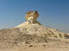 Doha: Private Guided Day tour of Northern and Western Qatar