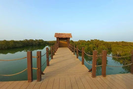 Doha: Private Guided Day tour of Northern and Western Qatar