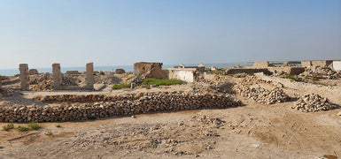 Doha: Private Guided Day tour of Northern and Western Qatar