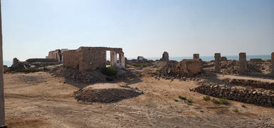 Doha: Private Guided Day tour of Northern and Western Qatar