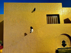 Doha: Private Guided Highlights City Tour