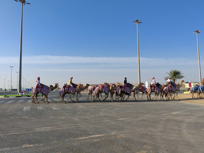Doha: Private Guided West Coast, Zekreet Fort, Richard Serra Sculpture & Mushroom Hills Tour