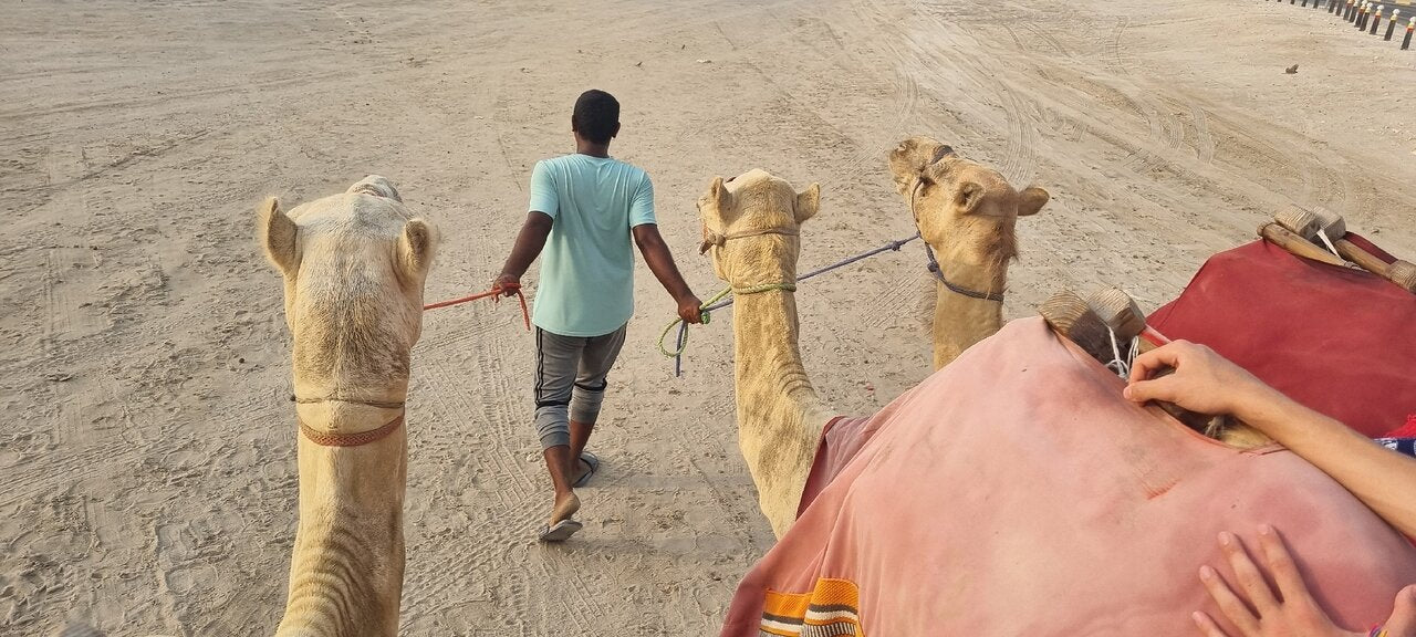 Doha: Private Half - Day Desert Safari and Inland Sea Guided Tour