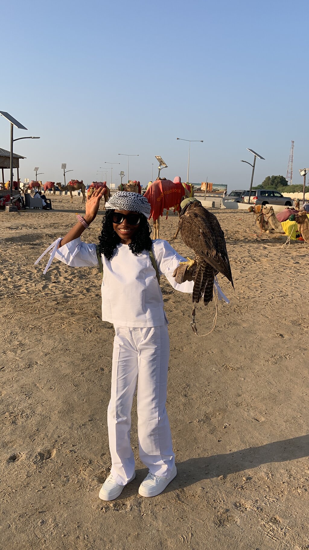 Doha: Private Half - Day Desert Safari and Inland Sea Guided Tour