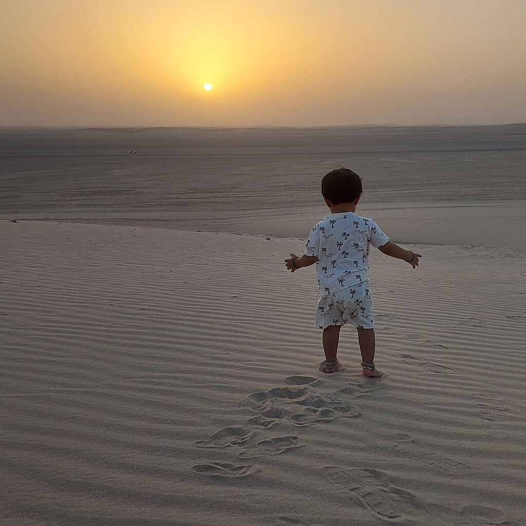 Doha: Private Half - Day Desert Safari and Inland Sea Guided Tour