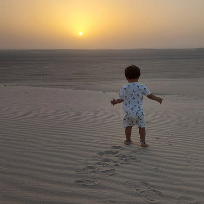 Doha: Private Half - Day Desert Safari and Inland Sea Guided Tour