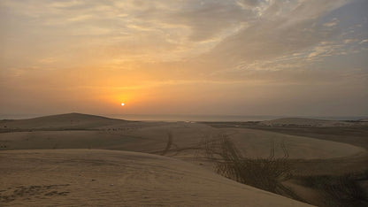 Doha: Private Half - Day Desert Safari and Inland Sea Guided Tour