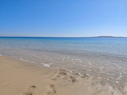 Doha: Private Half - Day Desert Safari and Inland Sea Guided Tour