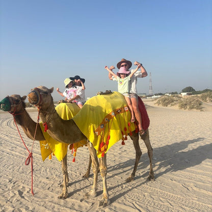 Doha: Private Half - Day Desert Safari and Inland Sea Guided Tour
