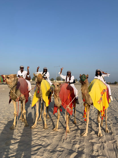 Doha: Private Half - Day Desert Safari and Inland Sea Guided Tour