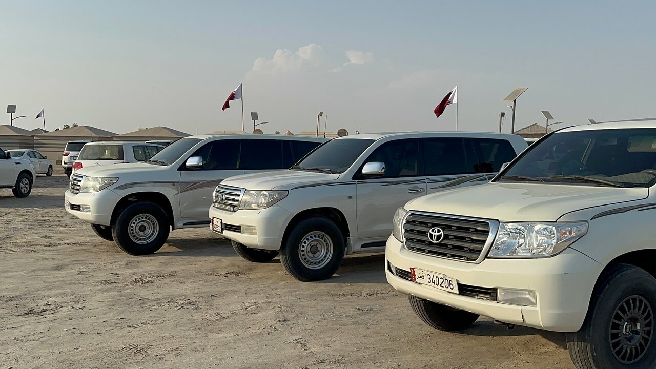 Doha: Private Half - Day Desert Safari and Inland Sea Guided Tour