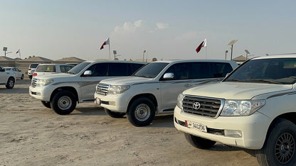 Doha: Private Half - Day Desert Safari and Inland Sea Guided Tour